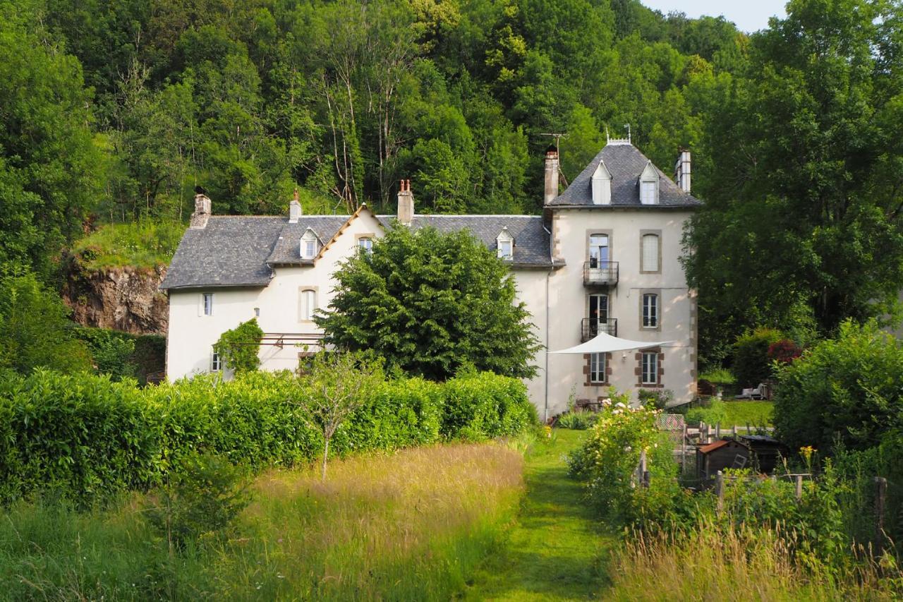 Domaine De La Jordanne - B&B Saint-Cirgues-de-Jordanne المظهر الخارجي الصورة