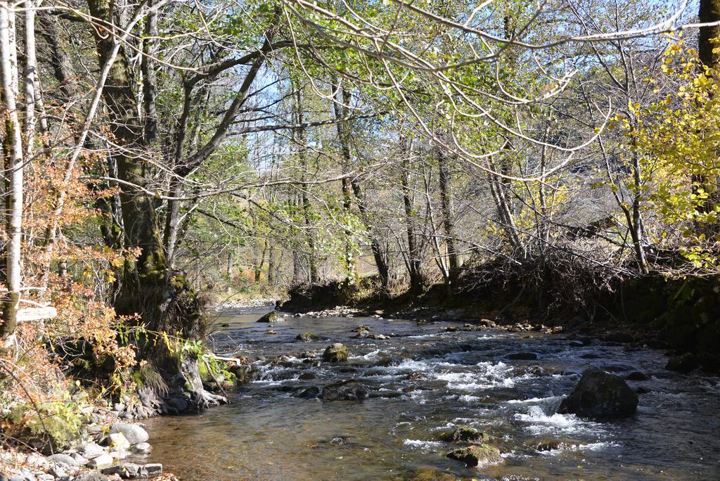 Domaine De La Jordanne - B&B Saint-Cirgues-de-Jordanne المظهر الخارجي الصورة