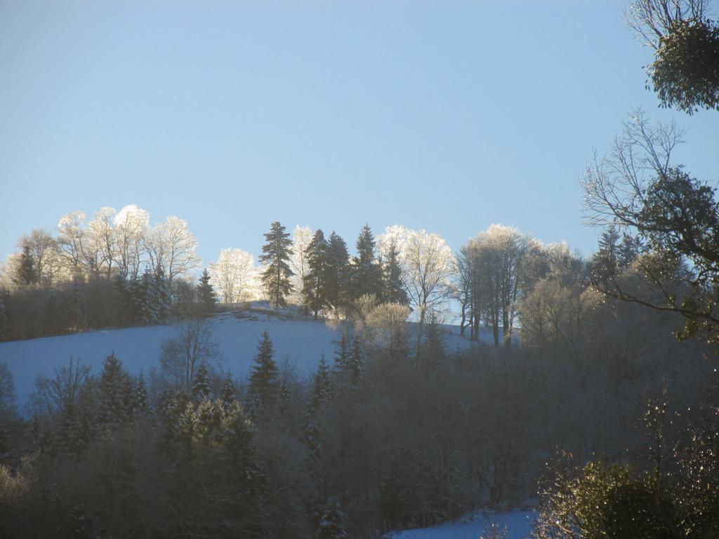 Domaine De La Jordanne - B&B Saint-Cirgues-de-Jordanne المظهر الخارجي الصورة
